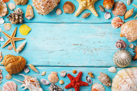 Collection of various sea shells on wooden board with copy space in center, top viewの写真素材
