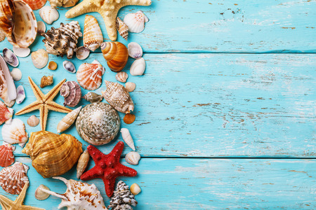 Collection of various sea shells on wooden board with copy space in right, top viewの写真素材