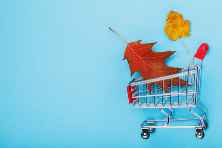 Shopping cart on blue background with copy space. Autumn sales conceptの写真素材