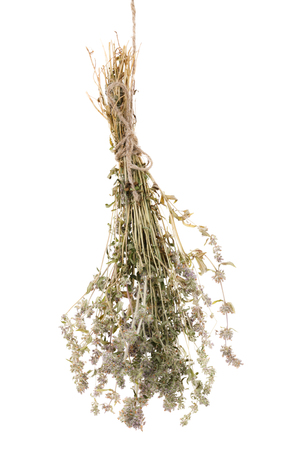 Dried branch of thyme isolated on white backgroundの写真素材