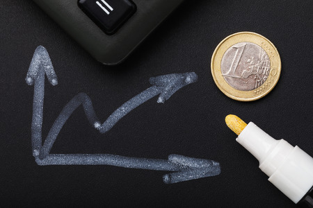 Growth of the euro in the foreign exchange market. Raising schedule