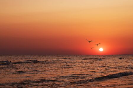 Evening calm sea with a beautiful sunsetの写真素材