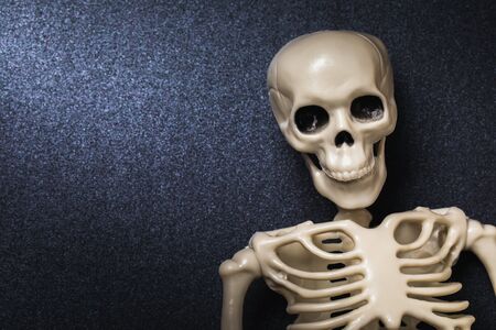 Human skeleton on black background with copy space, top view