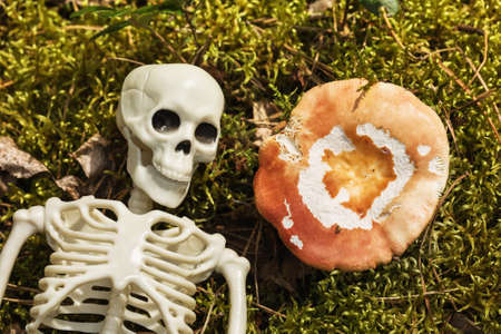 Skeleton on the grass next to the mushroom, top view. Concept on the topic of poisoningの写真素材