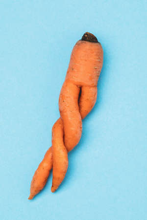 Spiral carrots on a blue background, top viewの写真素材