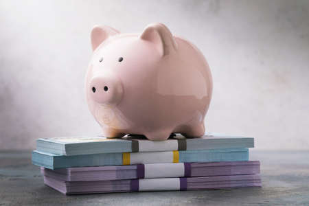 The piggy bank stands on the money. Concept on the topic of accumulating cashの写真素材