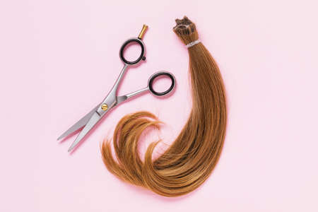 The cut off strand of female children's hair of light brown color and scissors on a pink background....