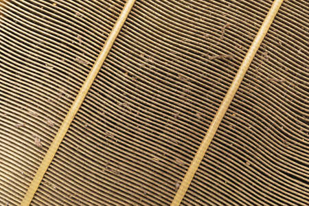 Texture of old car engine air filter