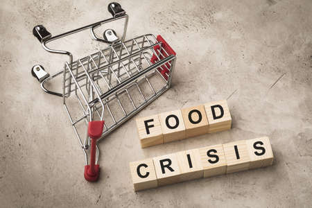 Empty grocery cart and wooden cubes with text, food crisis conceptの写真素材