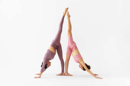 Two female yoga practitioners doing a variation of the Adho Mukha Svanasana exercise on a white background, downward facing dog poseの写真素材