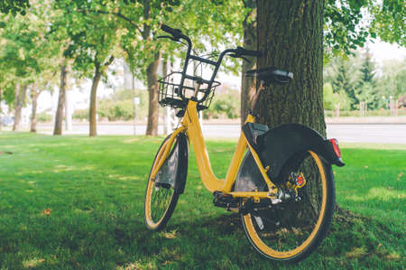 Yellow city bike for rent on the background of the parkの写真素材