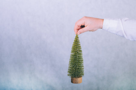A man holds a Christmas tree in his hands on a white backgroundの写真素材
