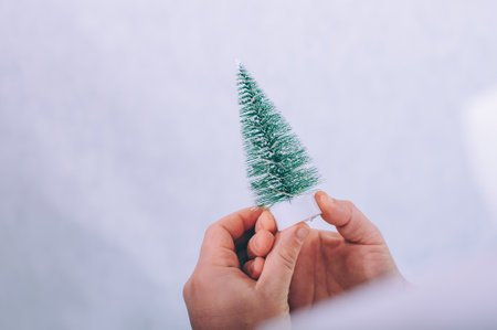 A man holds a Christmas tree in his hands on a white backgroundの写真素材