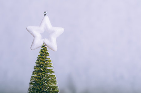 Minimalistic composition with a green Christmas treeの写真素材
