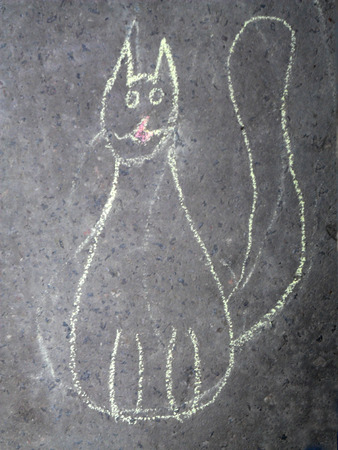 drawing cat with chalk on the pavementの写真素材