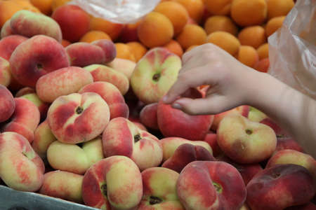 One child hand choosing between flat peaches and apricots at a fruit market stallの写真素材