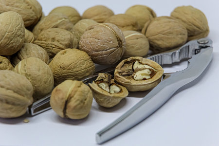 Several unopened walnuts and one walnut cracked open with a nutcracker on white backgroundの写真素材