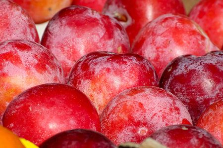 Close up of fresh organic plums in the sun on a market stall in Edinburgh Scotlandの写真素材