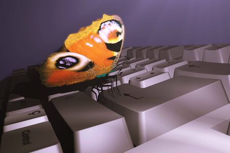 scene of the butterfly on keyboard
