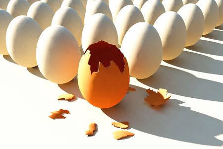 scene broken egg Executed in 3 D