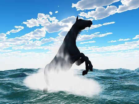 scene of the horse in waterの写真素材