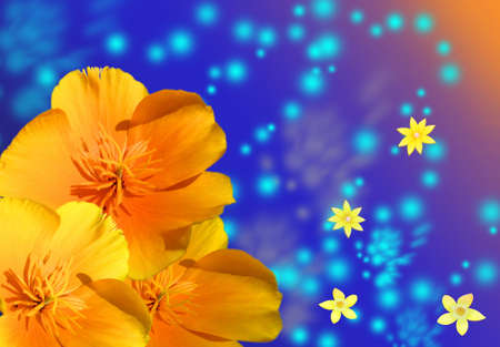 flower on abstract backgroundの写真素材