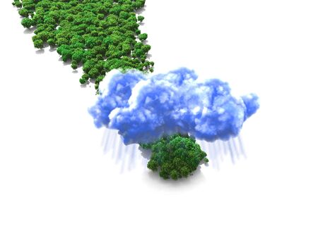 scene cloud and woodの写真素材