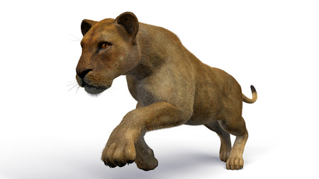 The image of a lioness 3D illustrationの写真素材