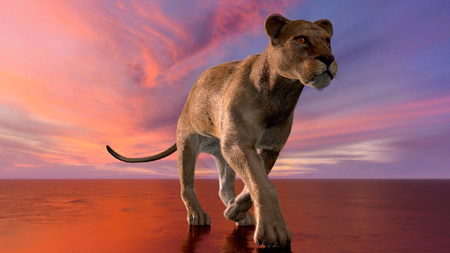 The image of a lioness 3D illustrationの写真素材