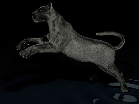 The image of a black panther 3D illustrationの写真素材