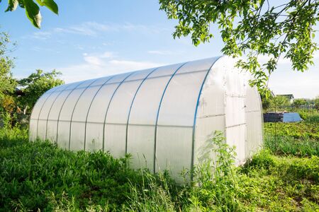Greenhouse made of polycarbonate in the gardenの写真素材