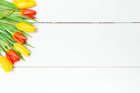 Beautiful fresh tulips on white boards. Wooden background with copy space.の写真素材
