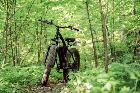 Fatbike on a path in the forest. Sports hobby for health and travel. Electric bike.の写真素材