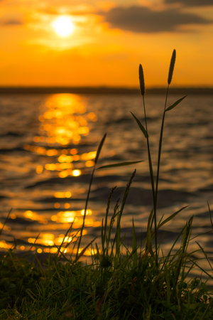 Lake at sunsetの写真素材