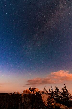 View of the milky way galaxy in the blue sky with clouds above the treesの写真素材