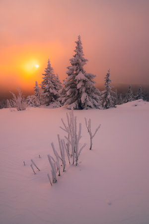 Rising sun in the cloudy sky over snow-covered fir trees on a mountaintop on a winter morning. Zuratkul National Park. high quality photoの写真素材