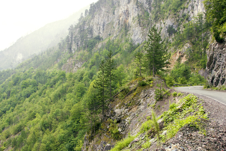 A winding road along a rocky canyon with vegetationの写真素材