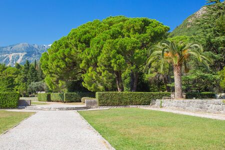 Park green area with a path of rubble and a lush variety of vegetation and mountains in the background.の写真素材