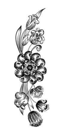 vector illustration vintage engraved floral element with wild herbs and flowers on white backgroundのイラスト素材