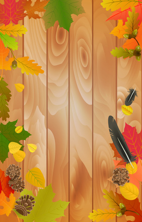 vector illustration autumn background with maple, oak leaves, black feather, acorn, pine cone on wooden backdropのイラスト素材
