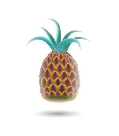 Vector illustration realistic pineapple on white background.のイラスト素材