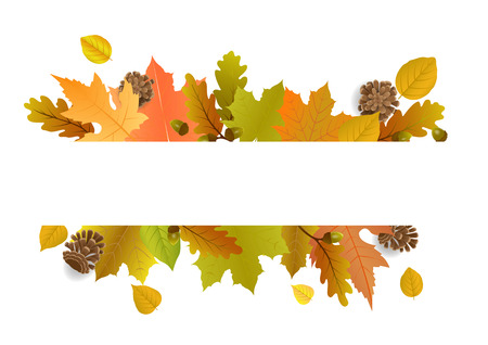 Vector illustration poster for autumn sale with decorate text and leaves.のイラスト素材