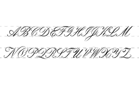 Calligraphy practice guide. Vector illustration.のイラスト素材