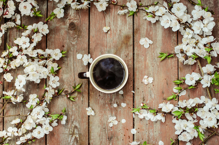 Cup of hot black coffee in female hands on a wooden vintage desk with spring white flowers apricorn. The concept of coffee on a spring day.の写真素材