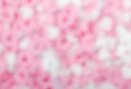 blurred pink background, valentine's dayの写真素材