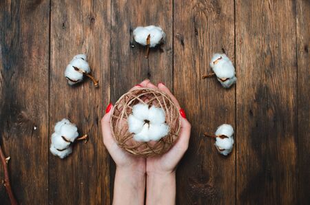 Cotton plant flower on brown wooden background.の写真素材