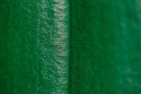 green leaf close up nature background