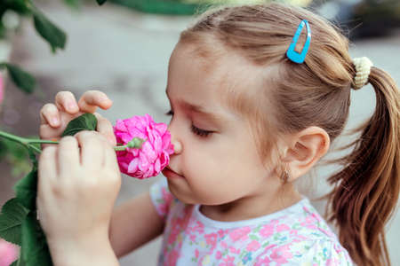 Little girl with flowers, portrait near a blooming rose bush, close-up, horizontal shot. summer time. Summer time concept, girl sniffs flowersの写真素材