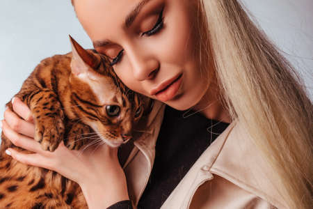 Portrait of an attractive cute young blonde woman with a bengal cat. Beautiful girl, looks at the cat, elegant hairstyle, impudent makeup, White background.の写真素材