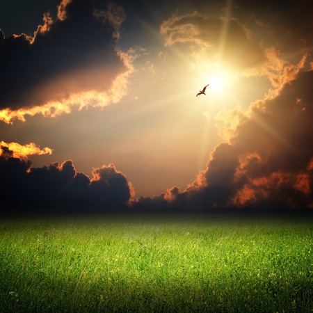 Fantasy landscape. Magic sunset and bird on sky in sun lightの写真素材